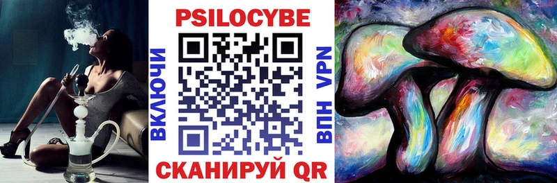Псилоцибиновые грибы GOLDEN TEACHER  Купить где  Устюжна 